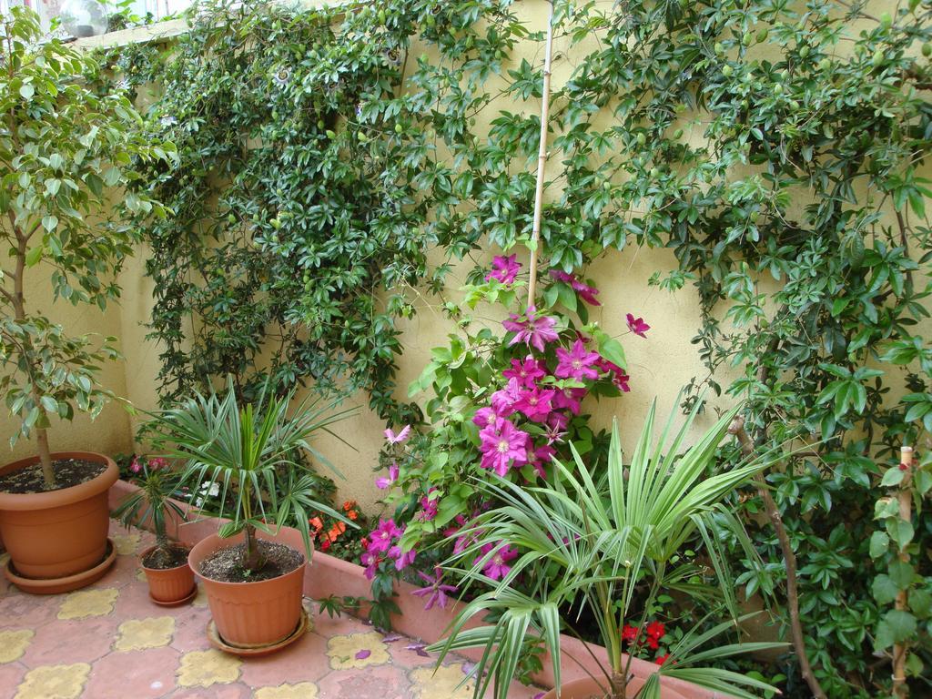 Stela Guest House Carewo Zewnętrze zdjęcie
